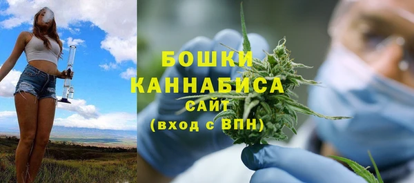 шишки Горняк