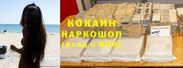 шишки Горняк