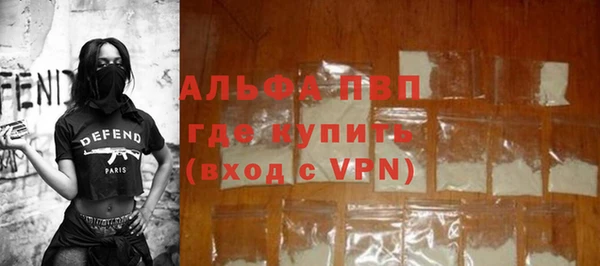 шишки Горняк