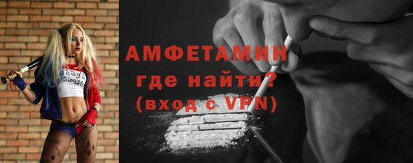 шишки Горняк