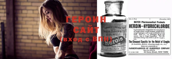 шишки Горняк