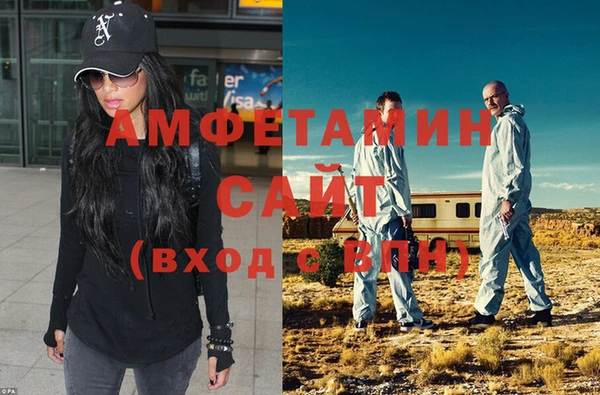 шишки Горняк